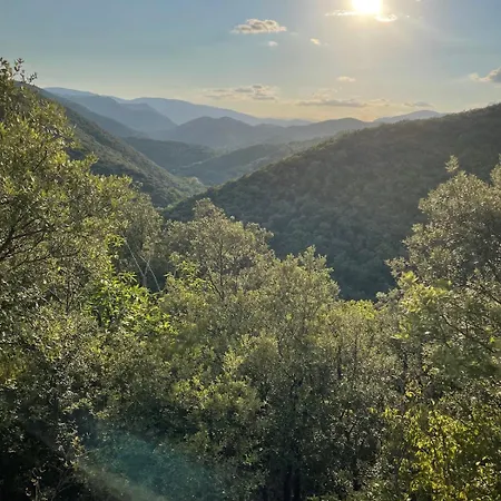 Le Cocon Verdoyant Du Sud *