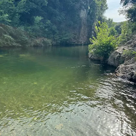 Le Cocon Verdoyant Du Sud
