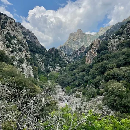 Le Cocon Verdoyant Du Sud Appartement Graissessac