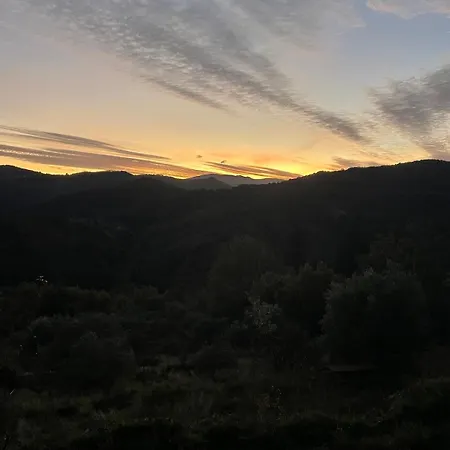 Appartement Le Cocon Verdoyant Du Sud