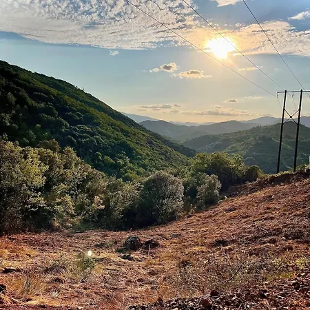 Appartement Le Cocon Verdoyant Du Sud Graissessac