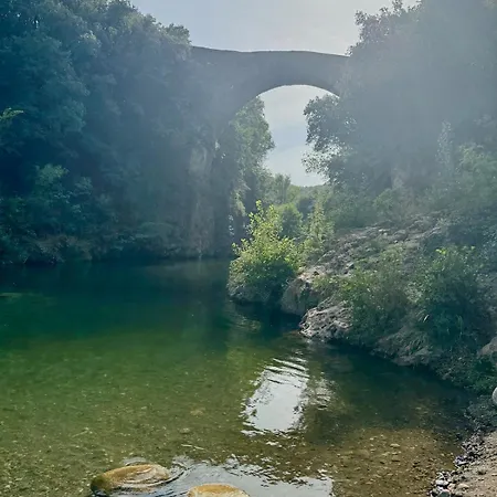 Le Cocon Verdoyant Du Sud Appartement