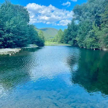 Le Cocon Verdoyant Du Sud