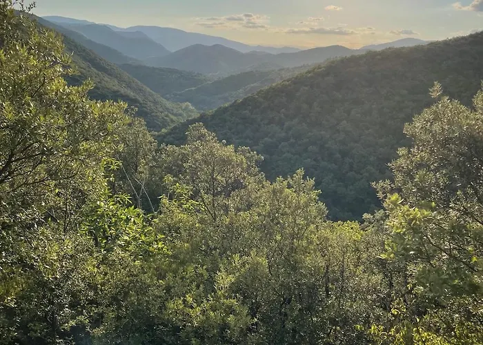Le Cocon Verdoyant Du Sud *
