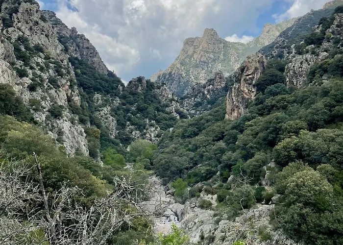 Le Cocon Verdoyant Du Sud Apartman Graissessac