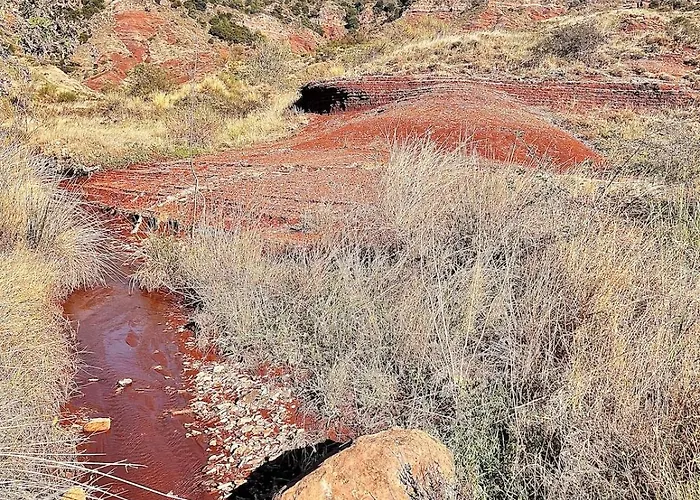 Le Cocon Verdoyant Du Sud Graissessac