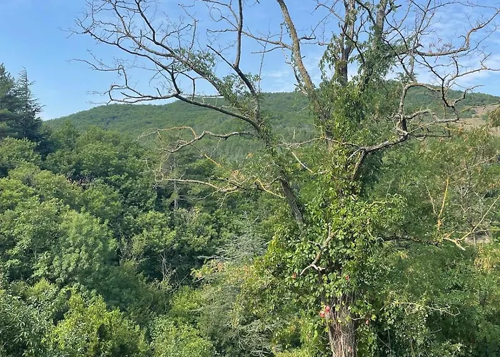 Le Cocon Verdoyant Du Sud *